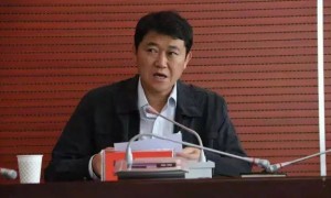 罗宁，第三次被查