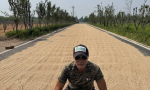 70岁任达华回山东老家收麦子：只有站在这里才明白什么是根的感觉