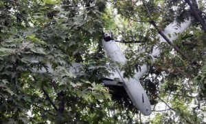 韩无人机作战司令部司令被紧急逮捕